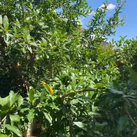 Villa in Turkey, Istanbul, 176 sq.m.