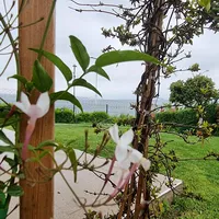 Villa in Turkey, Istanbul, 650 sq.m.