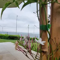 Villa in Turkey, Istanbul, 650 sq.m.