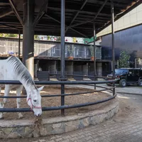 Вилла в Турции, Стамбул, 1845 кв.м.