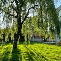 Вилла в Турции, Villa, 180 кв.м.