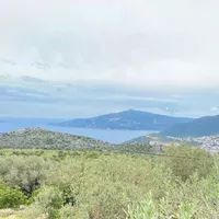 Land plot in Turkey, Land, 3213 sq.m.