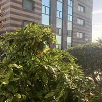 Apartment in Turkey, Istanbul, 90 sq.m.