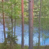 Land plot by the lake in Finland, Kouvola