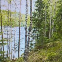 Земельный участок у озера в Финляндии, Коувола