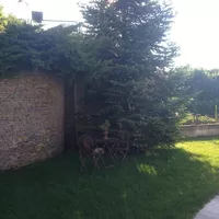 Villa in Turkey, Istanbul, 550 sq.m.