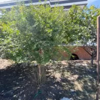 Land plot in Turkey, Istanbul, 850 sq.m.