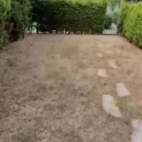 Villa in Turkey, Istanbul, 350 sq.m.