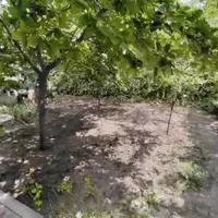 Апартаменты в Турции, Стамбул, 570 кв.м.