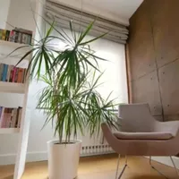 Apartment in Turkey, Istanbul, 180 sq.m.