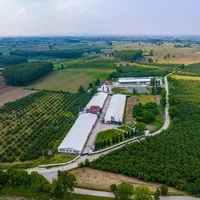 Other in Turkey, Sakarya, Adapazari, 12000 sq.m.