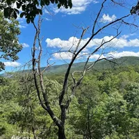 Земельный участок в Турции, Стамбул, 2695 кв.м.