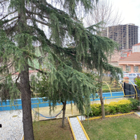 Апартаменты в Турции, Стамбул, 650 кв.м.