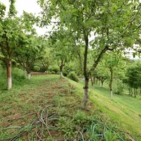 Вилла в Турции, Стамбул, 1200 кв.м.