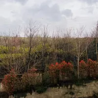 Апартаменты в Турции, Стамбул, 75 кв.м.