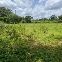 Земельный участок в Турции, Стамбул, 306 кв.м.