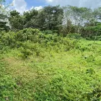 Земельный участок в Турции, Стамбул, 306 кв.м.