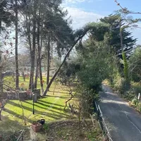 Апартаменты в Турции, Стамбул, 250 кв.м.