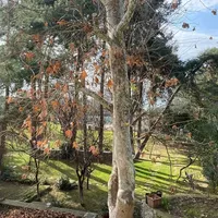 Апартаменты в Турции, Стамбул, 250 кв.м.