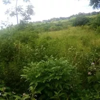 Land plot in Turkey, Istanbul, 4895 sq.m.