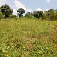 Land plot in Turkey, Istanbul, 4895 sq.m.