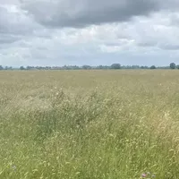 Земельный участок в Турции, Стамбул, 571 кв.м.