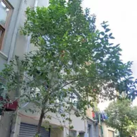 Apartment in Turkey, Istanbul, 190 sq.m.