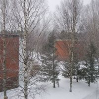 Flat in Finland, 62 sq.m.