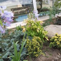 Apartment in Turkey, Istanbul, 350 sq.m.