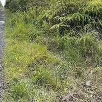 Земельный участок в Турции, Стамбул, 576 кв.м.