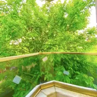 Villa in Turkey, Istanbul, 320 sq.m.