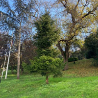 Villa in Turkey, Istanbul, 150 sq.m.