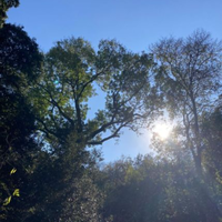 Villa in Turkey, Istanbul, 150 sq.m.