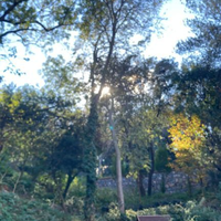 Villa in Turkey, Istanbul, 150 sq.m.