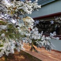 Villa in Turkey, Istanbul, 590 sq.m.