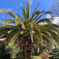 Villa in Turkey, Istanbul, 548 sq.m.