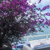 Вилла в Турции, Стамбул, 600 кв.м.