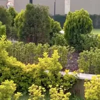 Апартаменты в Турции, Стамбул, 100 кв.м.