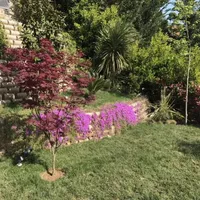 Вилла в Турции, Стамбул, 470 кв.м.