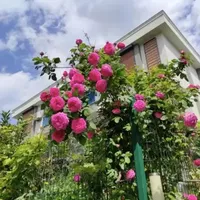 Вилла в Турции, Стамбул, 210 кв.м.