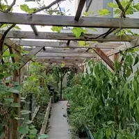 Вилла в Турции, Стамбул, 210 кв.м.