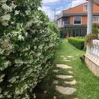 Вилла в Турции, Стамбул, 550 кв.м.