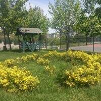 Apartment in Turkey, Istanbul, 298 sq.m.