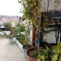 Апартаменты в Турции, Стамбул, 275 кв.м.