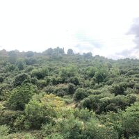 Apartment in Turkey, Istanbul, 65 sq.m.