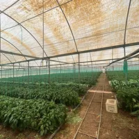 Other in Turkey, Fethiye, 32000 sq.m.