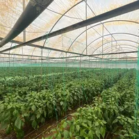 Other in Turkey, Fethiye, 32000 sq.m.