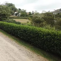 Земельный участок в Турции, Стамбул, 400 кв.м.