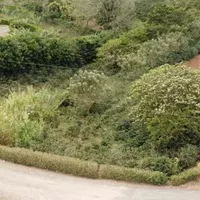 Земельный участок в Турции, Стамбул, 400 кв.м.