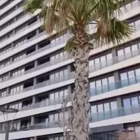 Apartment in Turkey, Istanbul, 90 sq.m.